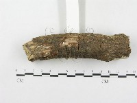 登錄號:F0000128藏品圖，第5張