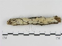 登錄號:F0000129藏品圖，第1張