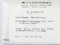 登錄號:F0000130藏品圖，第2張