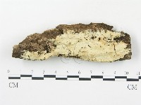 登錄號:F0000130藏品圖，第1張