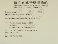 登錄號:F0000131藏品圖，第2張