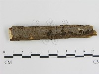 登錄號:F0000131藏品圖，第1張