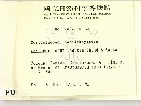 登錄號:F0000135藏品圖，第2張