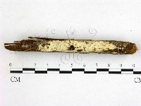 登錄號:F0000135藏品圖，第1張