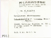 登錄號:F0000136藏品圖，第2張