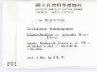 登錄號:F0000138藏品圖，第2張