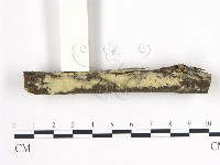 登錄號:F0000138藏品圖，第1張