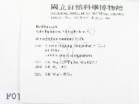 裂褶菌藏品圖，第2張