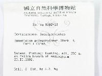 登錄號:F0000141藏品圖，第3張