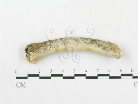 登錄號:F0000141藏品圖，第1張