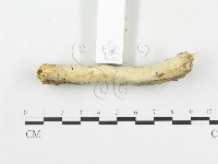 登錄號:F0000141藏品圖，第4張