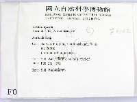 木耳屬藏品圖，第2張