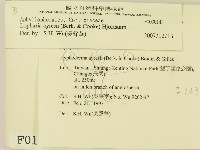 登錄號:F0000143藏品圖，第2張