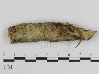 登錄號:F0000144藏品圖，第1張