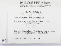 登錄號:F0000145藏品圖，第2張