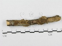 登錄號:F0000145藏品圖，第1張