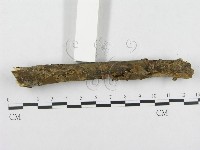 登錄號:F0000145藏品圖，第3張