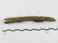 登錄號:F0000145藏品圖，第4張