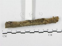 登錄號:F0000145藏品圖，第5張