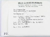 登錄號:F0000148藏品圖，第2張