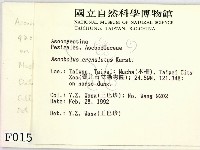 登錄號:F0000151藏品圖，第2張
