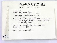 登錄號:F0000152藏品圖，第2張