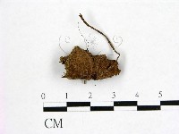 登錄號:F0000152藏品圖，第1張