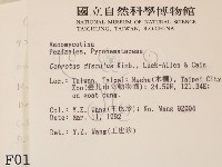 登錄號:F0000153藏品圖，第2張