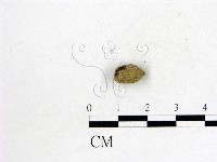 登錄號:F0000156藏品圖，第1張