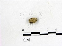登錄號:F0000156藏品圖，第3張