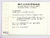 登錄號:F0000157藏品圖，第2張
