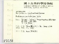登錄號:F0000158藏品圖，第2張