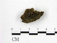 登錄號:F0000158藏品圖，第1張
