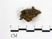 登錄號:F0000158藏品圖，第3張