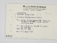 登錄號:F0000159藏品圖，第2張
