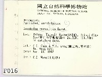 登錄號:F0000160藏品圖，第2張