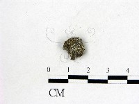 登錄號:F0000160藏品圖，第1張