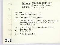 登錄號:F0000161藏品圖，第2張