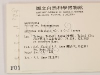 登錄號:F0000162藏品圖，第2張