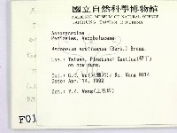 登錄號:F0000163藏品圖，第2張