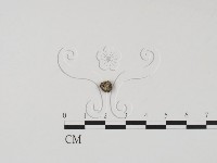 登錄號:F0000165藏品圖，第3張