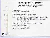 登錄號:F0000166藏品圖，第2張