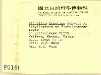 登錄號:F0000168藏品圖，第2張