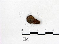 登錄號:F0000168藏品圖，第1張