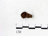 登錄號:F0000168藏品圖，第3張