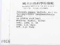 登錄號:F0000169藏品圖，第2張