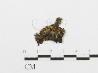 登錄號:F0000169藏品圖，第1張