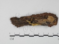 登錄號:F0000170藏品圖，第1張