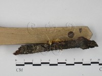 登錄號:F0000170藏品圖，第3張