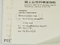 登錄號:F0000171藏品圖，第2張